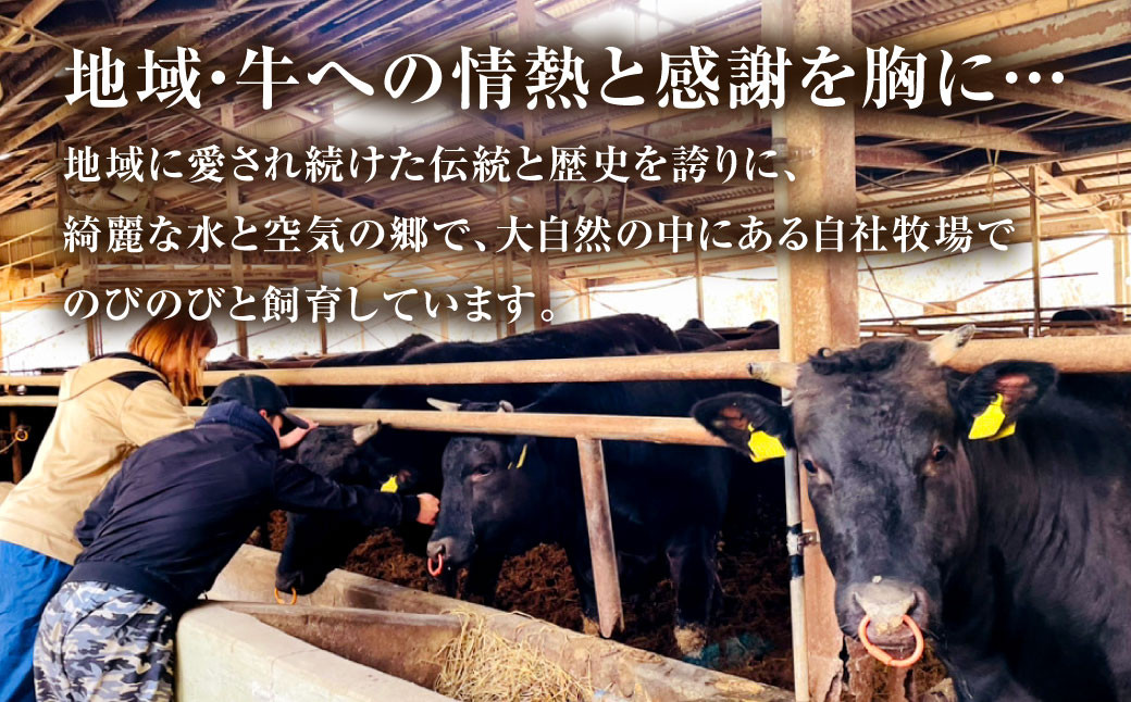 A4・A5ランク以上の黒毛和牛100%使用 あさじ牛 ハンバーグ 冷凍 12個入り