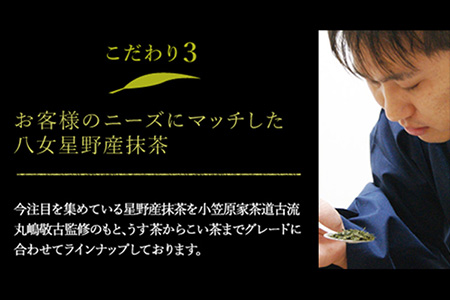 八女茶 煎茶ティーバッグ 計200パック (3g×100パック入り×2袋) 株式会社親和園《30日以内に出荷予定(土日祝除く)》福岡県 鞍手郡 鞍手町 お茶 緑茶 茶 八女星野茶 ティーパック ティー