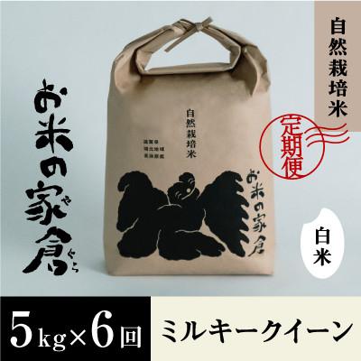 ふるさと納税 長浜市 【毎月定期便】お米が甘い長浜の地の味わいミルキークイーン5kg白米全6回