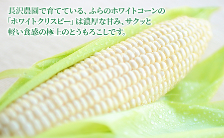 とうもろこし 富良野産 ホワイトコーン【12〜14本 計4.2kg以上】【先行予約】