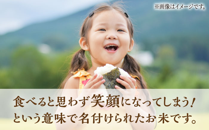 【3回定期便】 にこまる 白米 計10kg（5kg×2袋）【竹下農園】 [ZEL008]