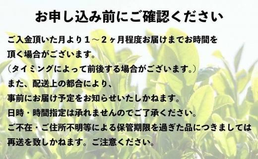 八女上陽の産地直送！ 中島製茶本舗 ほうじ茶ティーバッグ 100パック
