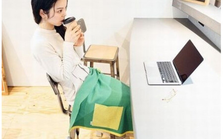 ストール CLEMATIS リバーシブル和紙ストール ( たたきポケット・グリーン ) レディース | 大判 ストール リバーシブル 和紙 おしゃれ シンプル マフラー 春夏 春 夏 新潟県 五泉市 