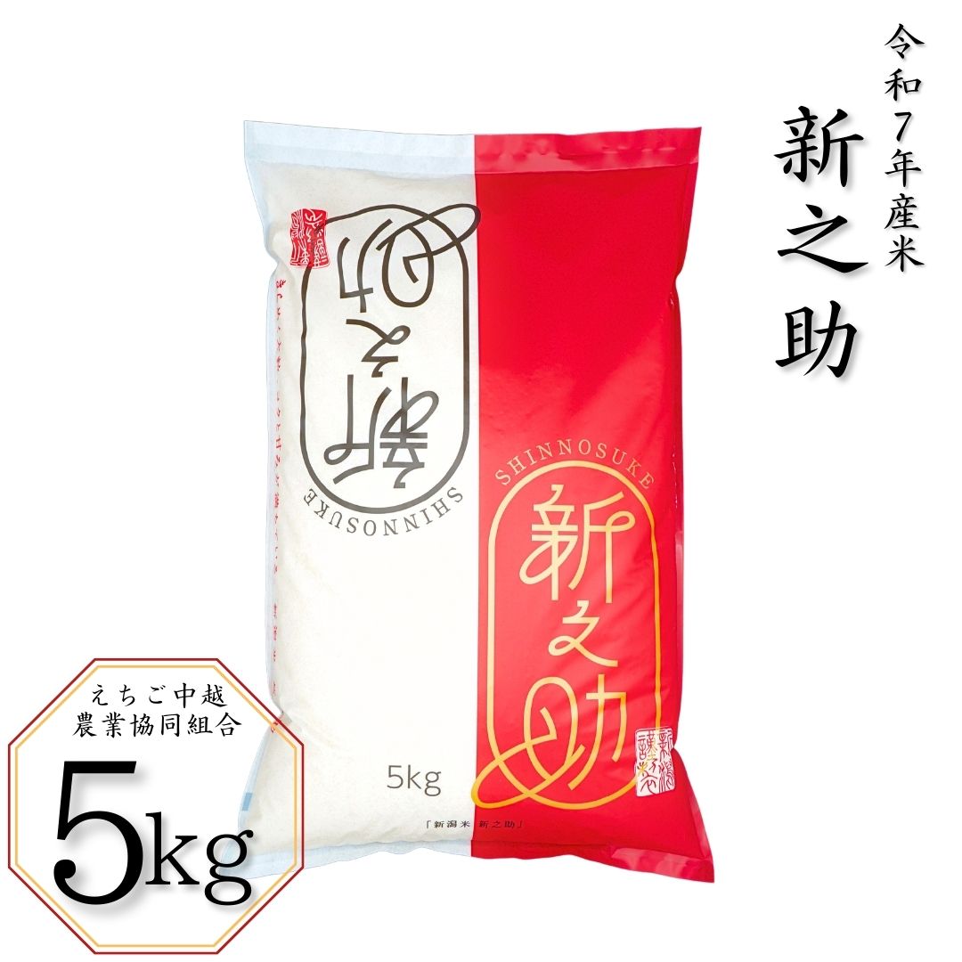 【ふるさと納税】新潟県産 新之助 5kg 白米 令和7年産 しんのすけ [JAえちご中越]【010S078】