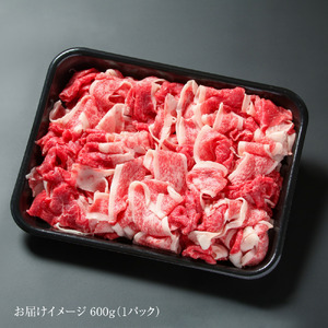 訳あり 飛騨牛 切落とし 600g 冷凍真空パック | 肉 お肉 切り落とし 薄切り すき焼き すきやき 黒毛和牛 和牛 人気 おすすめ 牛肉 ギフト お取り寄せ 7日以内お届け[MZ011]