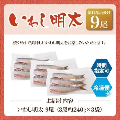 Y08-12 いわし明太 9尾 