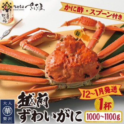 【12～1月発送】浜茹で越前ずわい約1000～1100g　1杯　かに酢＆かにスプーン付き【配送不可地域：離島】【1508758】