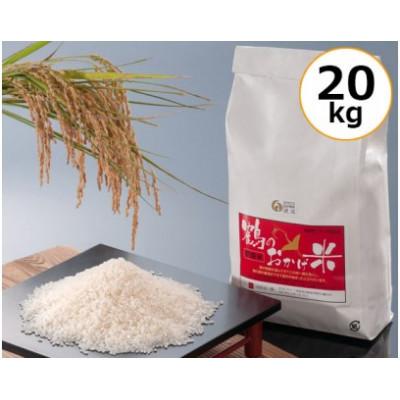 ふるさと納税 南伊勢町 令和8年産 伊勢志摩産 コシヒカリ 20kg 鶴のおかげ米 精米済み白米 産地直送 三重県南伊勢町 |  | 01