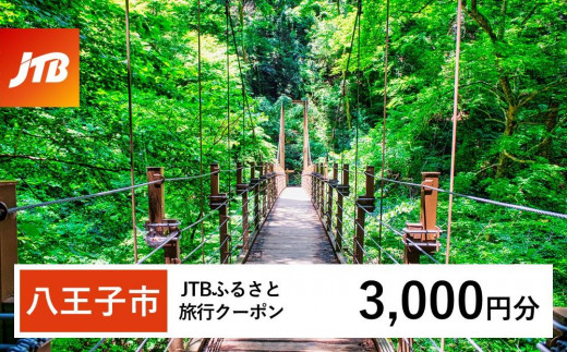 【八王子市】JTBふるさと旅行クーポン（3,000円分）有効期間3年（Eメール発行）｜旅行 トラベル 予約 国内旅行 JTB 宿泊 観光 体験 旅行券 宿泊券 旅行予約  ホテル 旅館 チケット 子供 子連れ カップル 家族 人気 おすすめ 旅行クーポン 店頭 オンライン ネット予約 東京 八王子