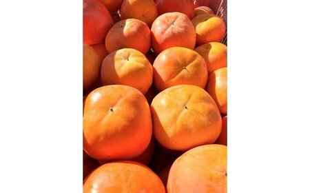 【ご家庭用わけあり】和歌山秋の味覚　平核無柿（ひらたねなしがき） 約7.5㎏　※2024年10月上旬頃?2024年10月下旬頃順次発送（お届け日指定不可）【uot718】