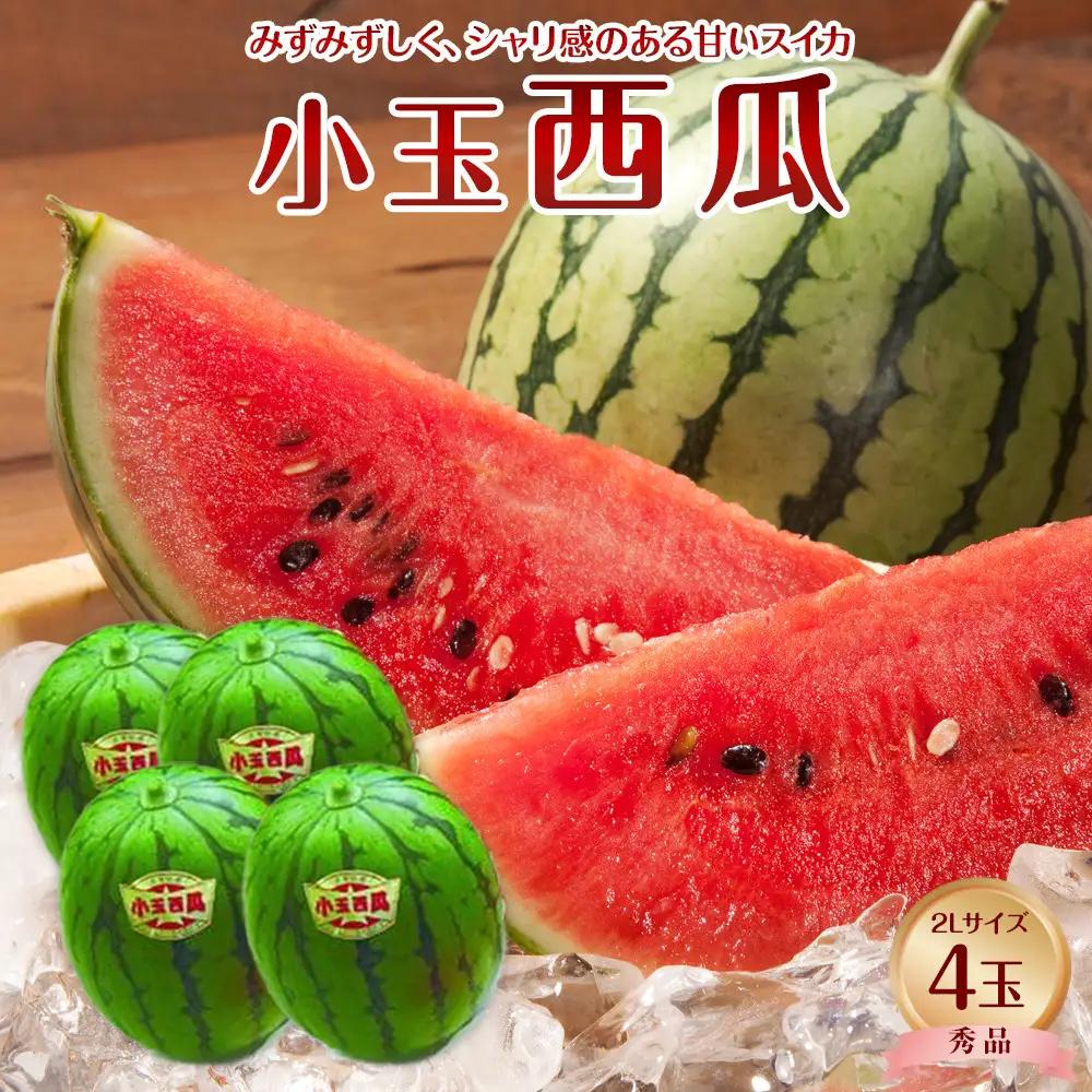 【先行予約】【ＪＡ】小玉西瓜 秀2L×4玉 ※着日指定不可 ※離島への配送不可 ※2026年9月初旬頃～9月下旬頃に順次発送予定 スイカ