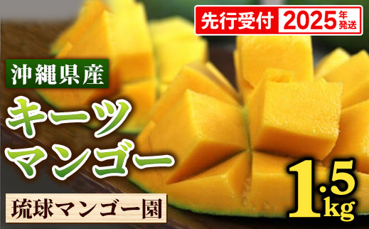 【先行受付】【2025年発送】琉球マンゴー園のキーツマンゴー約1.5kg