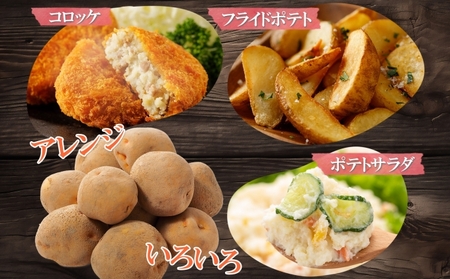 北海道産 じゃがいも 男爵 約10kg Lサイズ ジャガイモ 男爵いも 男爵イモ 馬鈴薯 ポテト 常備野菜 根菜 農作物 産直 国産 JAようてい 送料無料 北海道 倶知安町 北海道のジャガイモ 食品