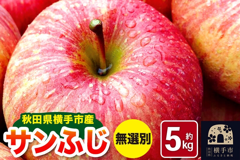 
                  《先行受付！12月上旬より順次発送》秋田県横手市産 サンふじ りんご 無選別 約5kg [先行予約 生きがい食材納入組合りんご サンふじ]
                