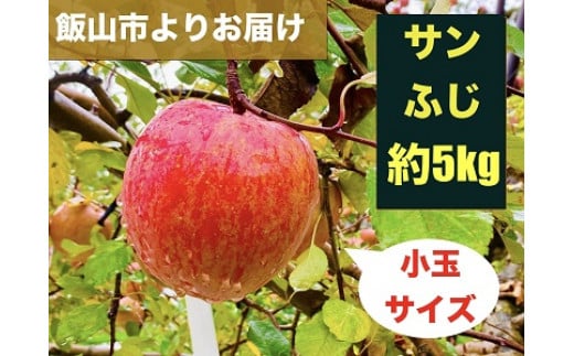 【先行予約】  サンふじ 小玉　約5kg（2024年産） (T-1.3)