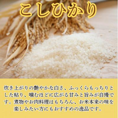 ふるさと納税 小浜市 令和7年産新米こしひかり10kg |  | 01