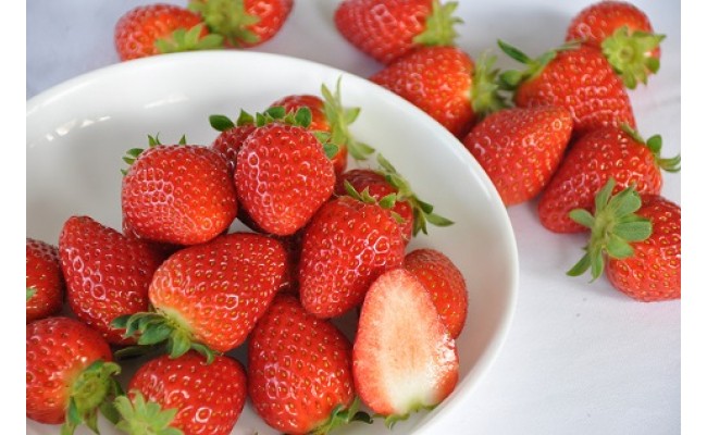 季節限定 まりひめプレミアムいちご「毬姫様」(A155-2)