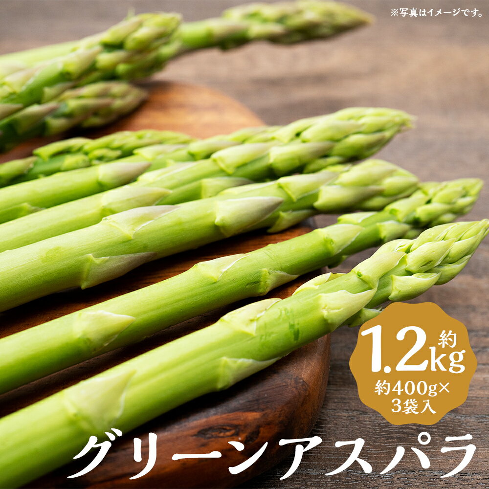 【ふるさと納税】グリーンアスパラ Mサイズ 約400g×3袋入 合計約1.2kg アスパラガス グリーンアスパラガス 野菜 京極町産 北海道産 国産 冷蔵 送料無料【2025年5月下旬～6月上旬に順次発送予定】