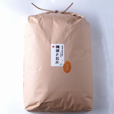 ふるさと納税 上越市 雪むろ棚田米コシヒカリ 10kg 玄米 |  | 01