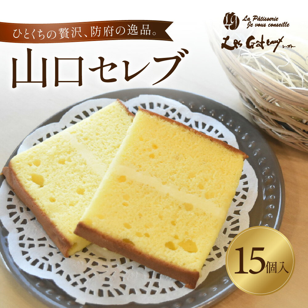 【ふるさと納税】山口セレブ(15個入) 有限会社レ・ガトー 山口県 防府市 B60 洋菓子 スイーツ 焼菓子 ケーキ ギフト プレゼント ティータイム 個包装 おやつ 高級