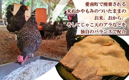 媛っこ地鶏 もも肉 むね肉 ささみ 約1.7kg ローカルスタンダード