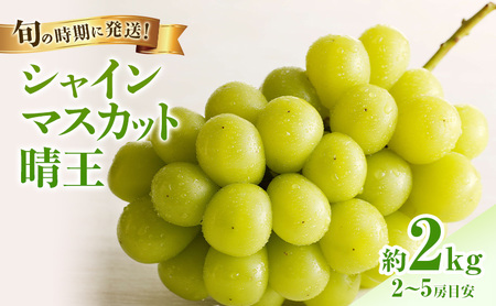 ぶどう 2026年 先行受付 シャインマスカット 晴王 秀品 大房 約2kg(2～5房) 岡山