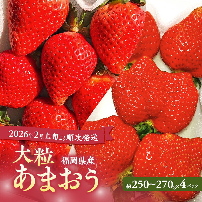 【ふるさと納税】あまおう 【2026年2月上旬より順次発送】大粒あまおう 4パック イチゴ 苺 いちご 果物 福岡県産 ※配送不可:北海道・沖縄・離島　お届け：2026年2月上旬～2026年4月中旬