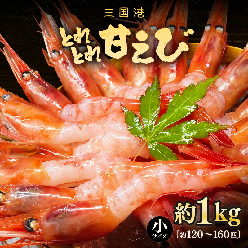 【ふるさと納税】三国港のとれとれ甘えび（冷凍） 約1kg × 1箱（小サイズ：約120〜160匹）【甘エビ 海老 えび エビ アマエビ あまえび 甘海老 殻付き 有頭 小さめ 生食 刺身 冷凍 魚介類 魚貝類 産地直送 国産 三国 人気】