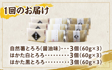 【全6回定期便】自然薯とろろ味くらべセット計9個（3種類×3個）＜自然薯王国＞ 那珂川市 定期便 自然薯 とろろ 野菜 健康 個包装 そば お好み焼き 白米 120000 120000円 [GAH01