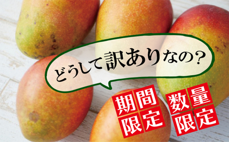 マンゴー【訳あり・ご自宅用】期間限定予約（約1.5kg）【2026年発送】まんごー mango