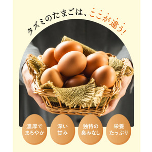 【累計600万個突破！】【TVで紹介されました】【定期便】タズミの卵(30個×6ヶ月)044AB01N.／こだわり卵 市川町産 兵庫県産 たまご たまごかけご飯 玉子 生卵 鶏卵 タマゴ 卵焼き TK