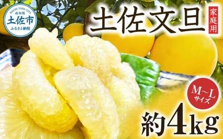 【先行予約】楠瀬さんの土佐文旦 家庭用 約4kg M〜Lサイズ 9〜13玉〈2027年2月15日〜2027年4月5日発送〉 / ぶんたん ブンタン 文旦 フルーツ 柑橘 みかん 果物 くだもの 柑橘類 デザート お取り寄せ 国産 常温 配送【まる庄果樹園】[BQAF019]