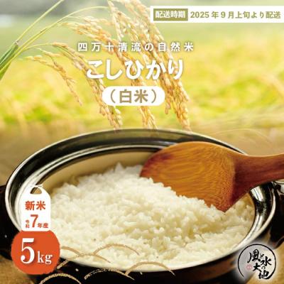 ふるさと納税 四万十市 【令和7年産新米・早期受付】四万十清流の自然米　白米5kg( コシヒカリ)2025年9月より順次配送 | 