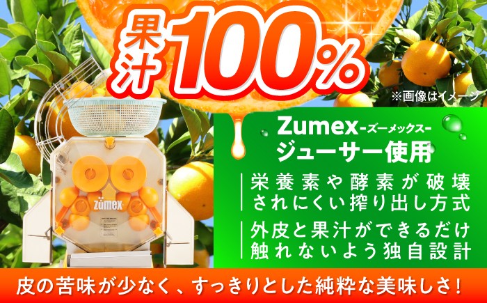 旬の果実そのままの味わい！/みかん 柑橘 いちご 苺 ジュース 果汁100%