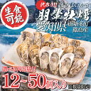 【ふるさと納税】 訳アリ 生食 牡蠣 【選べる】12個 ~ 50個 訳あり 牡蠣 かき 生食用 冷蔵 ( ふるさと納税牡蠣 ふるさと納税 生牡蠣 ふるさと納税 カキ ふるさと納税 篠島 産 ふるさと納税 オイスター ふるさと納税 南知多 ) 朋輩牡蠣 愛知県 南知多町 人気 おすすめ