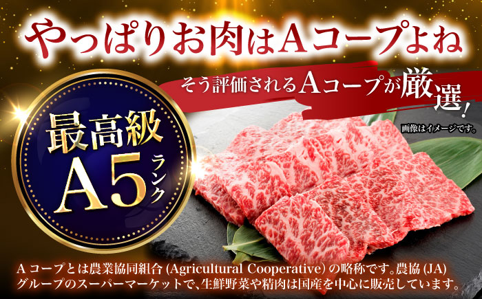 【6回定期便】長崎和牛ロース焼肉用(550g)　/　長崎和牛　ブランド牛　ロース　焼き肉　牛　牛肉　/　諫早市　/　長崎県央農業協同組合Aコープ本部 [AHAA025]