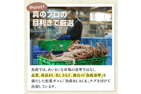 【蟹の匠 魚政】急速冷凍　捌き調理済み　茹でプレミアムズワイガニ魚政BLACK 1100g級 1匹(11月～12月発送)