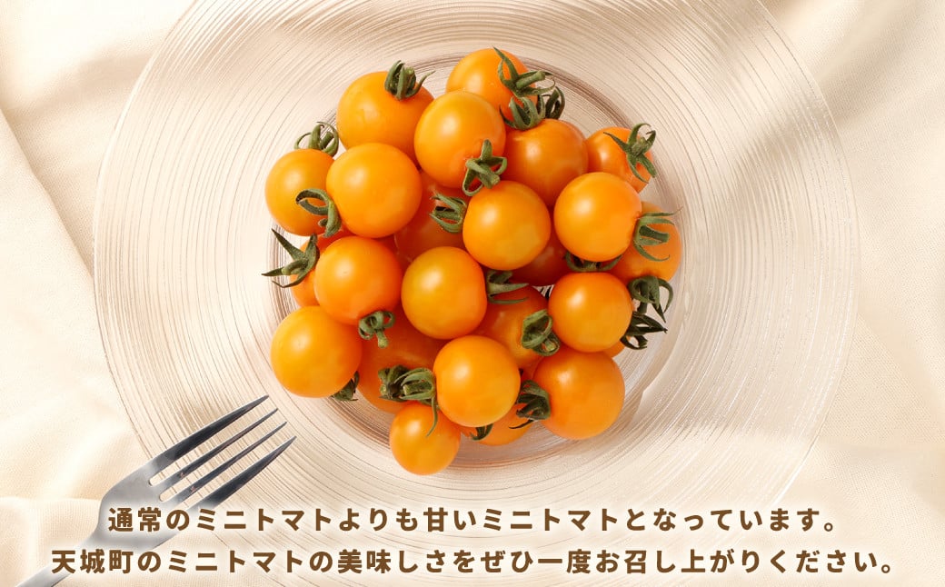 徳之島 天城町産 ミニトマト 1.6kg(200g×8パック) オレンジ千果