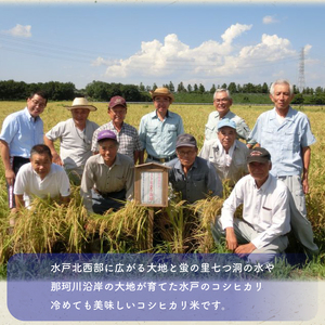 【数量限定】ローマ教皇献上米 令和7年産ミトヒカリ（コシヒカリ特別栽培米）※離島への発送不可※着日指定送不可 【新米 お米 ごはん こしひかり 5キロ 白米 茨城県産 水戸市】（AN-2）