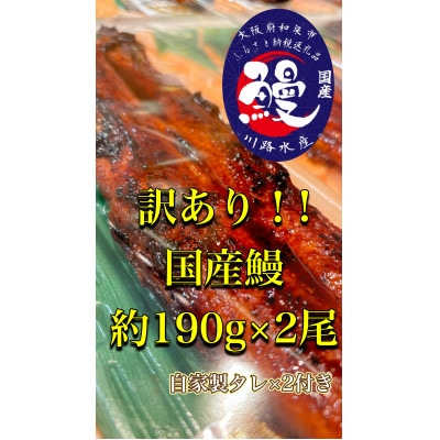 〈訳があってもよろしいでしょうか?〉訳あり国産うなぎ蒲焼き×2尾【配送不可地域：離島・北海道・沖縄】【1525136】