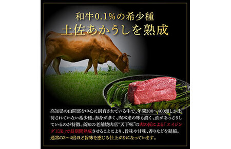 天下味 エイジング工法 熟成肉 土佐あかうし 特選赤身ブロック 500g エイジングビーフ 赤身 牛 ブロック 国産 あか牛 赤牛 肉 牛肉 和牛 人気 老舗焼肉店 冷凍 新鮮 真空パック 高級 お祝