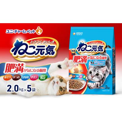 ふるさと納税 伊丹市 ねこ元気 肥満が気になる猫用 まぐろかつお白身魚チキン緑黄色野菜入り[54030479]