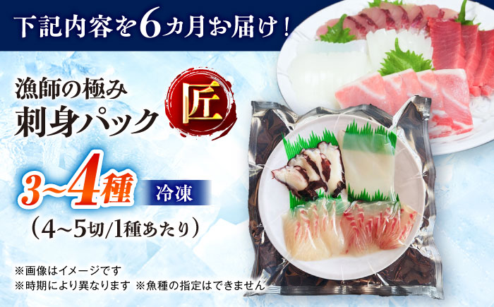 【6回定期便】漁師の極み刺身パック（匠）1皿 五島市/Sun Sea Go Company 魚 おまかせ お任せ 鮮魚 五島列島 [PGL023]