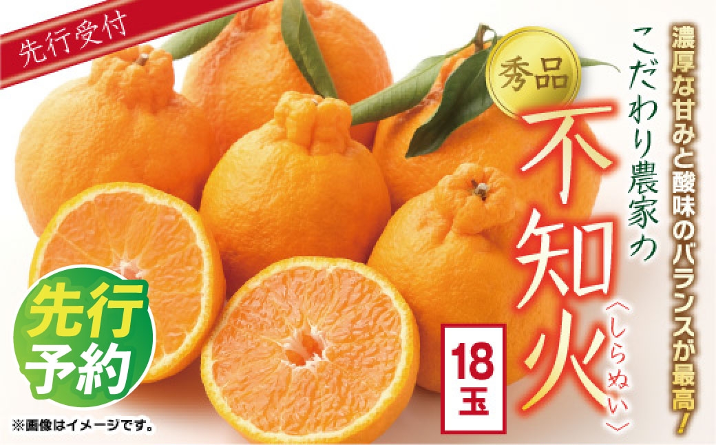 
                  【先行予約】数量限定 こだわり家の秀品 不知火 18玉 ／  しらぬい 果物 フルーツ ギフト 贈り物 プレゼント 柑橘 くだもの 【2027年4月上旬より発送開始予定】
                