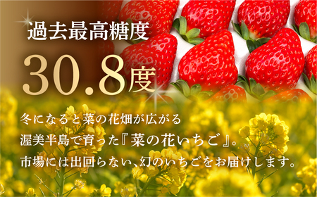 先行予約 菜の花いちご6～8粒入 4パック 大粒 2025年1月～発送開始 イチゴ いちご 苺 果物 くだもの フルーツ 贅沢品 贈答品 高級品 ブランド 先行予約 お取り寄せ 田原市 産地直送 送料