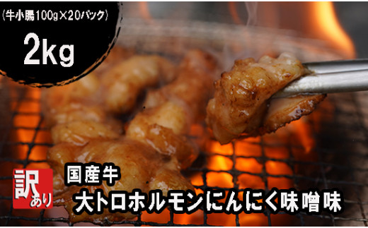 【 訳あり 】 国産牛 大トロホルモン にんにく味噌味 2kg （100gパック） 小分け ニンニク ガーリック 味噌味 ホルモン 焼き 焼肉 味付 小分け 冷凍 味噌だれ 不揃い 焼き肉 炒め物 国産 牛 肉 京都府 舞鶴市 幸福亭