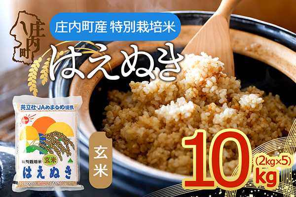 特別栽培米 玄米はえぬき 10kg 2kg×5袋 令和7年産 2025年産 庄内町産 余目産 はえぬき 玄米 ブランド米 米 山形 庄内平野 甘み 粘り バランスの良い ごはん 10kg(2kg×5袋