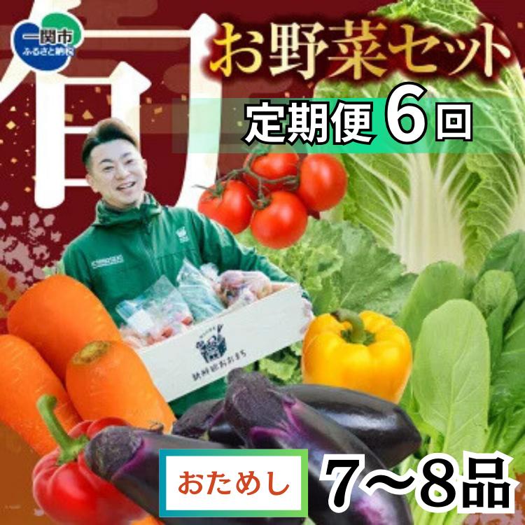 【定期便/6か月】注文が来てから収穫発送！収穫したばかりの新鮮野菜セット お試しコース 《7～8品》