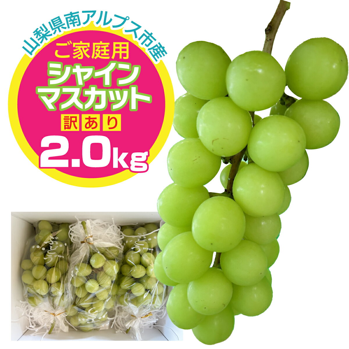 【ふるさと納税】 ＜2026年発送先行予約＞ご家庭用シャインマスカット　約2.0kg　「訳あり」 ALPFN001