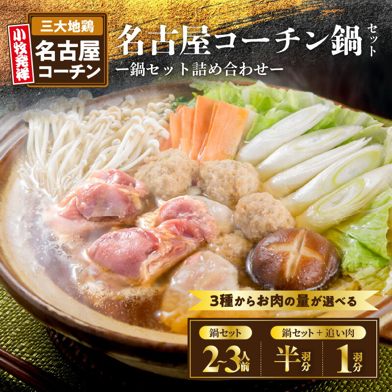 【ふるさと納税】名古屋コーチン鍋 & 名古屋コーチン 追い肉 セット 国産 鶏肉 詰め合わせ 日本三大地鶏 小牧発祥 地鶏 鶏 もも肉 むね肉 ささみ 肉団子 鍋 鶏鍋 寄せ鍋 ご褒美 スープ付き 雑炊 食感 コク 旨み 料理 お取り寄せ グルメ 愛知県 小牧市 送料無料